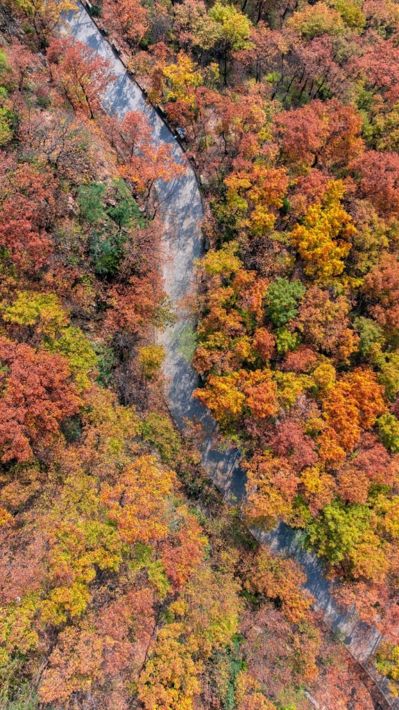 “瞰見秦嶺 詩畫終南”媒體景區(qū)行活動(dòng) 邂逅南五臺秋韻