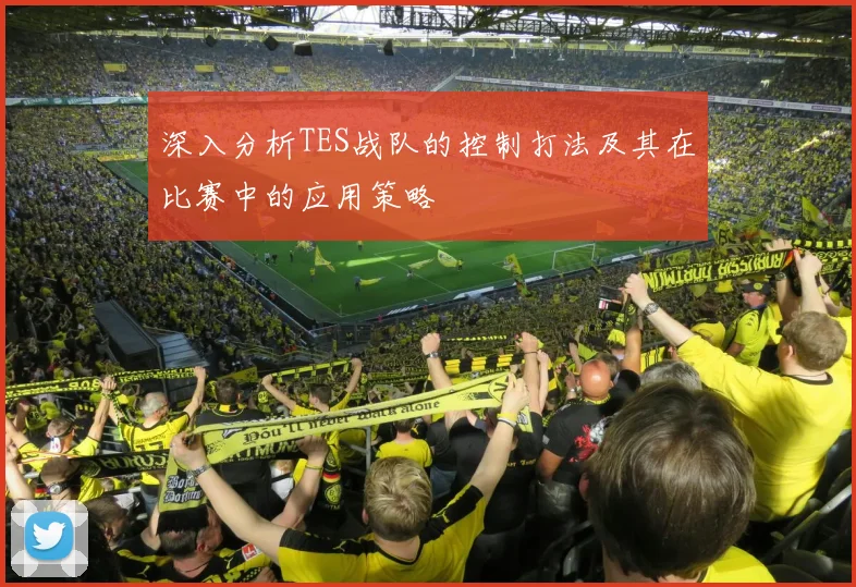 深入分析TES战队的控制打法及其在比赛中的应用策略